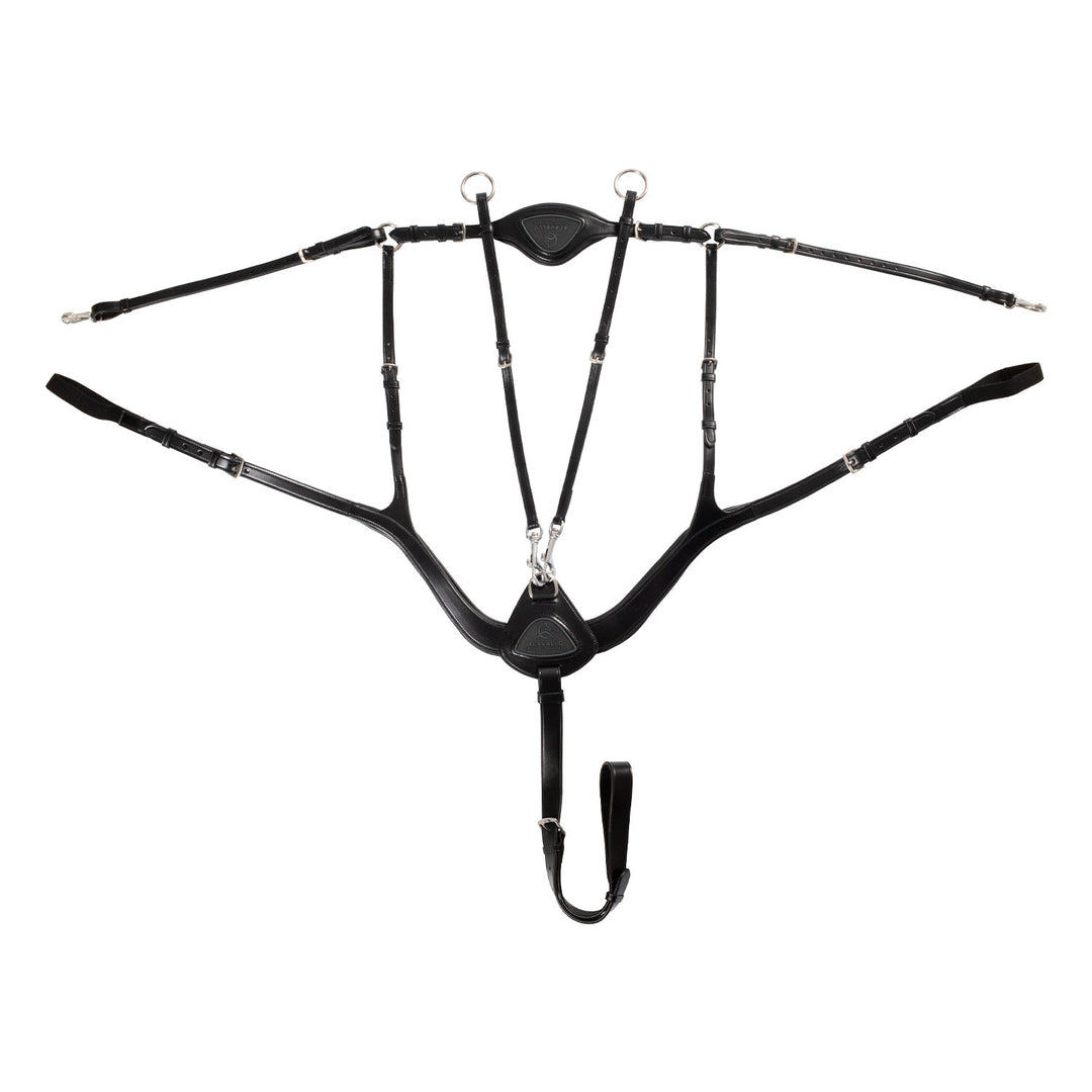 Anatomical 5-point breastplate