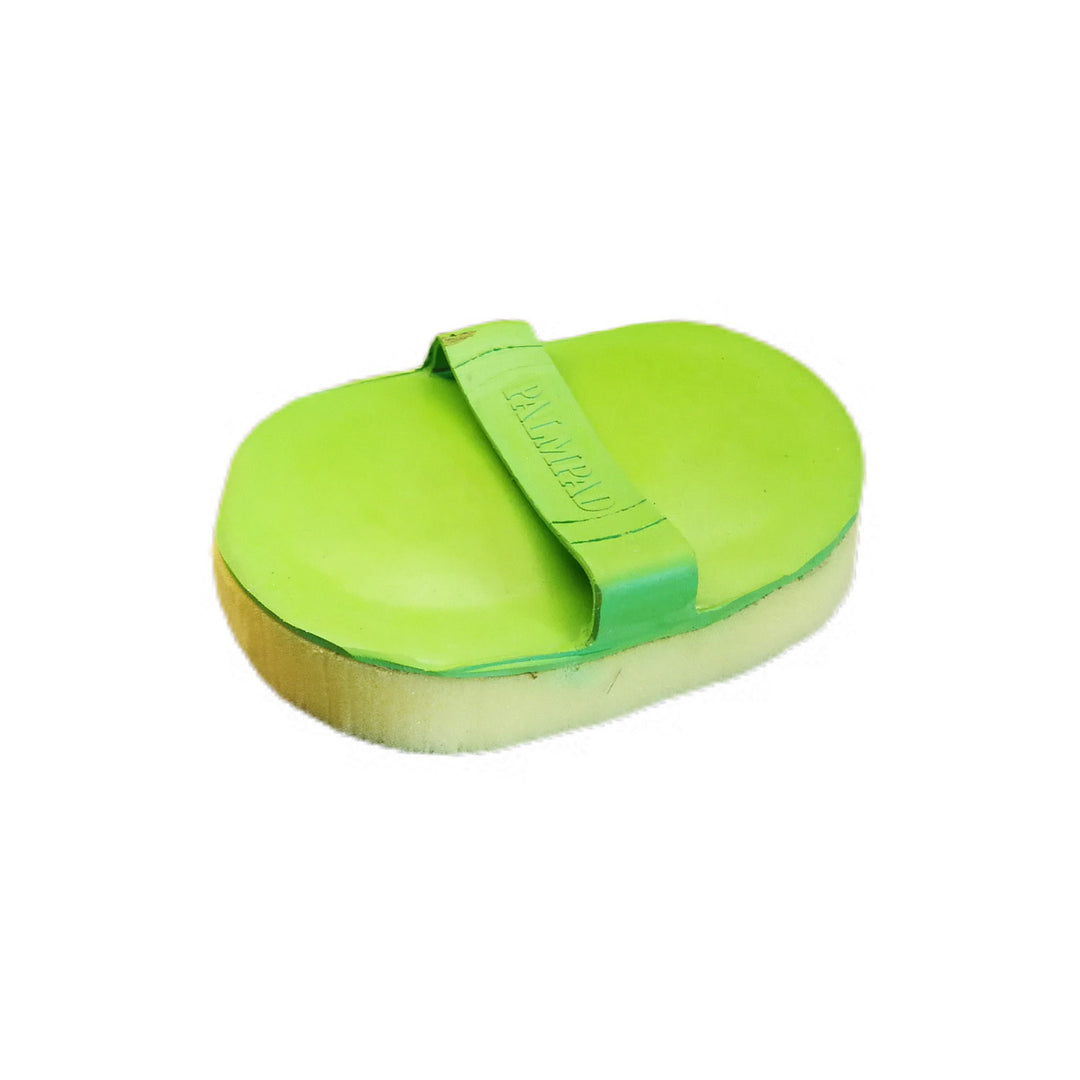 HANDLE SPONGE WITH SWEAT SCRAPER
