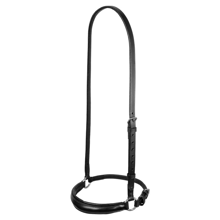 Leather German style noseband bridle BLACK