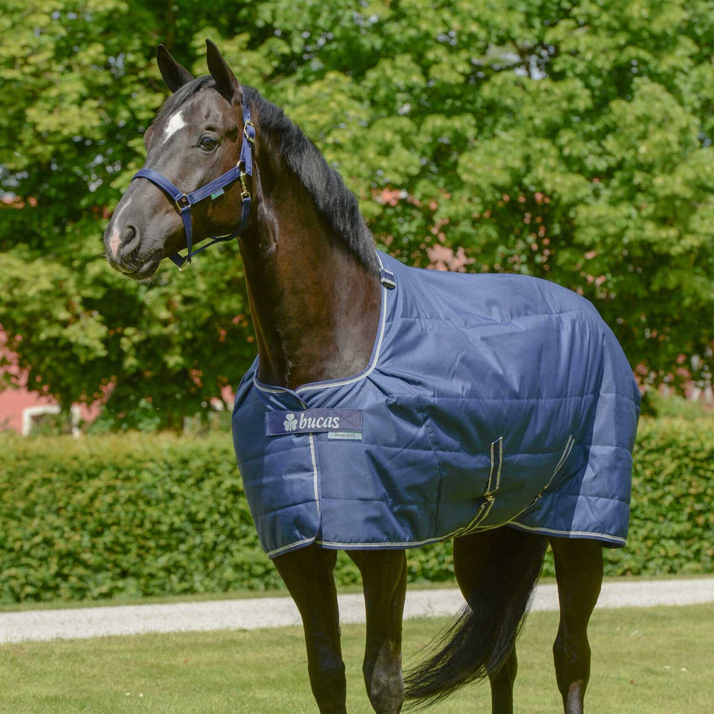 BUCAS STABLE QUILTS 300 SD NAVYU NAVY