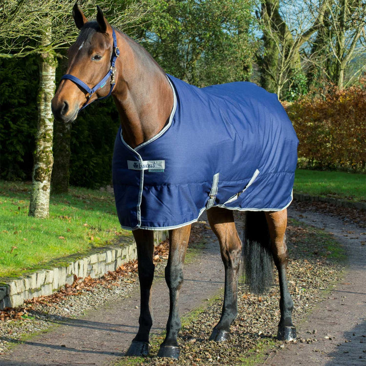 FREEDOM STABLE 300 NAVY
