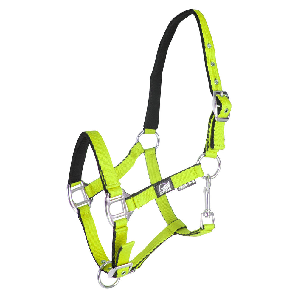 SOFT TOUCH PADDED FOAL HALTER WITH DOUBLE REG LIME