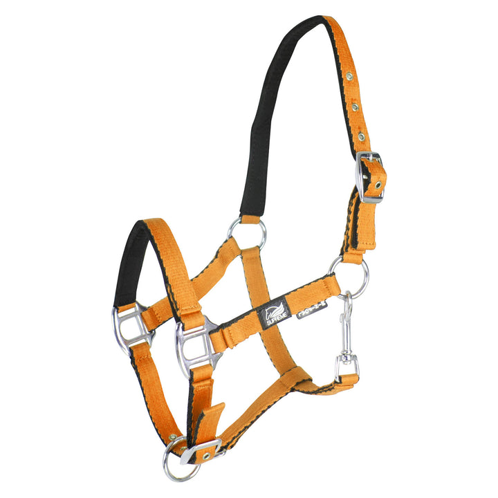 SOFT TOUCH PADDED FOAL HALTER WITH DOUBLE REG ORANGE