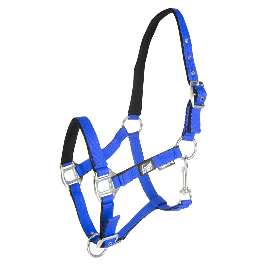 SOFT TOUCH PADDED FOAL HALTER WITH DOUBLE REG ROYAL BLUE