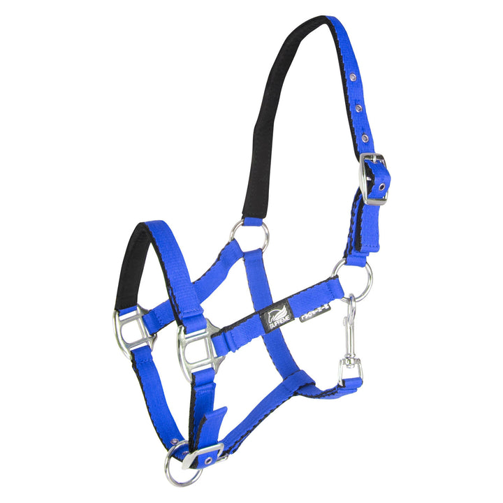 SOFT TOUCH PADDED FOAL HALTER WITH DOUBLE REG ROYAL BLUE
