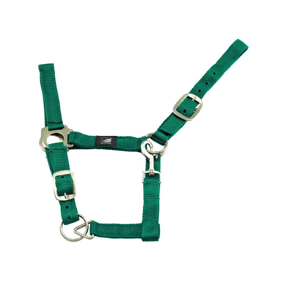 NYLON HALTER DOUBLE LAYER WITH DOUBLE REGOLAT GRASS GREEN