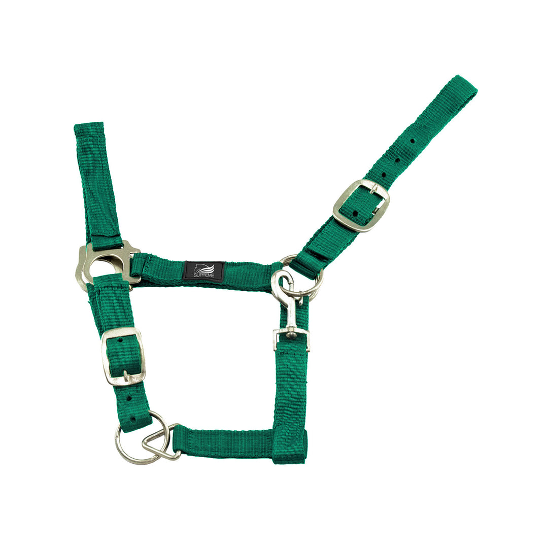 NYLON HALTER DOUBLE LAYER WITH DOUBLE REGOLAT GRASS GREEN