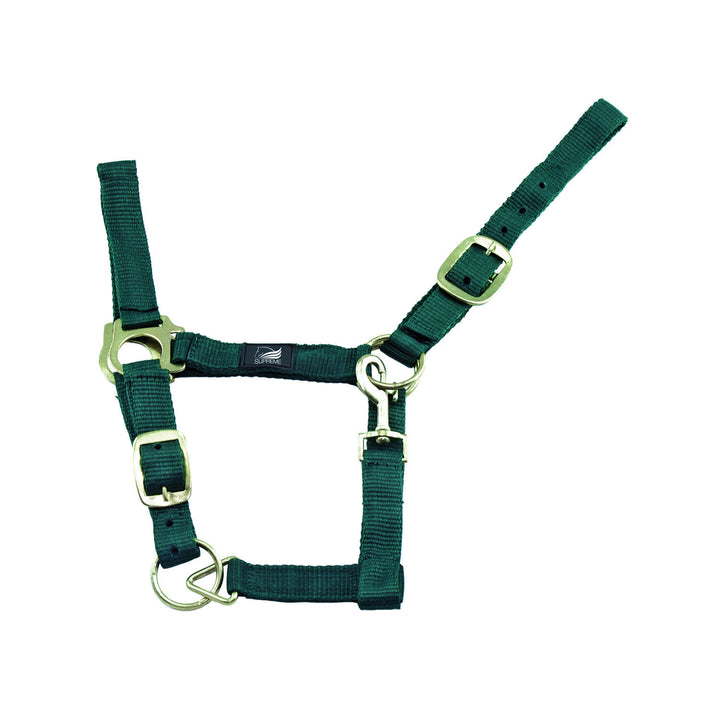 NYLON HALTER DOUBLE LAYER WITH DOUBLE REGOLAT HUNTER GREEN