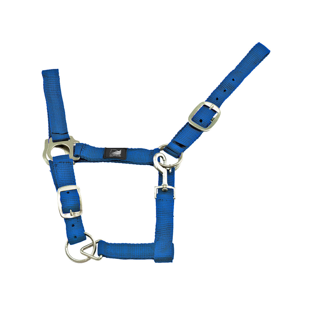 NYLON HALTER DOUBLE LAYER WITH DOUBLE REGOLAT ROYAL BLUE