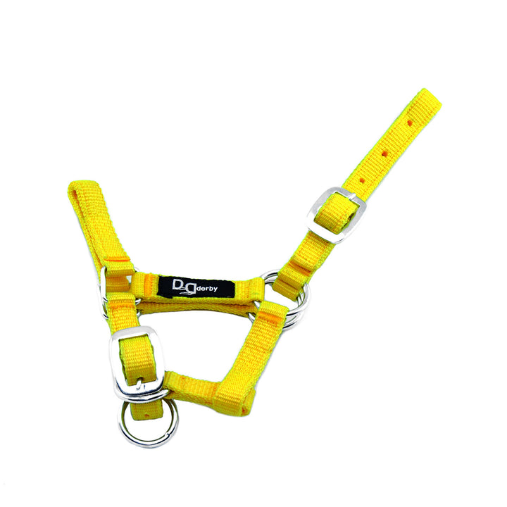 FOAL NYLON HALTER WITH DOUBLE ADJUSTMENT YELLOW