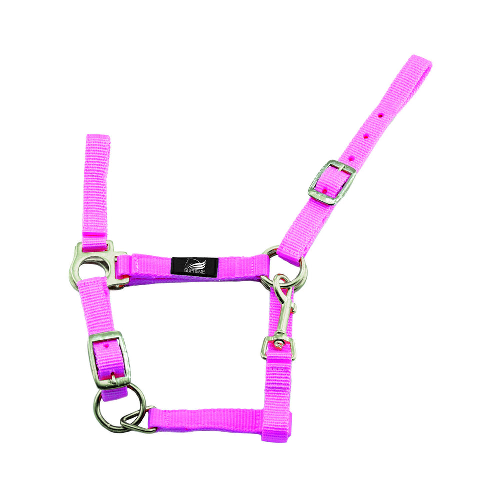 FOAL HALTER WITH DOUBLE ADJUSTMENT AND SNAP H PINK