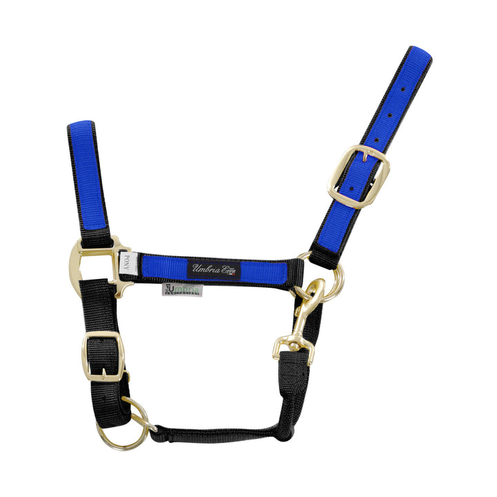 NYLON HALTER WITH COLORED PARTS BLACK/ROYAL