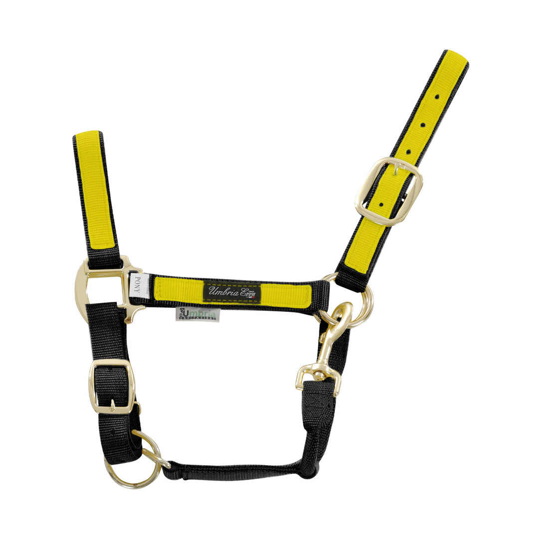 NYLON HALTER WITH COLORED PARTS