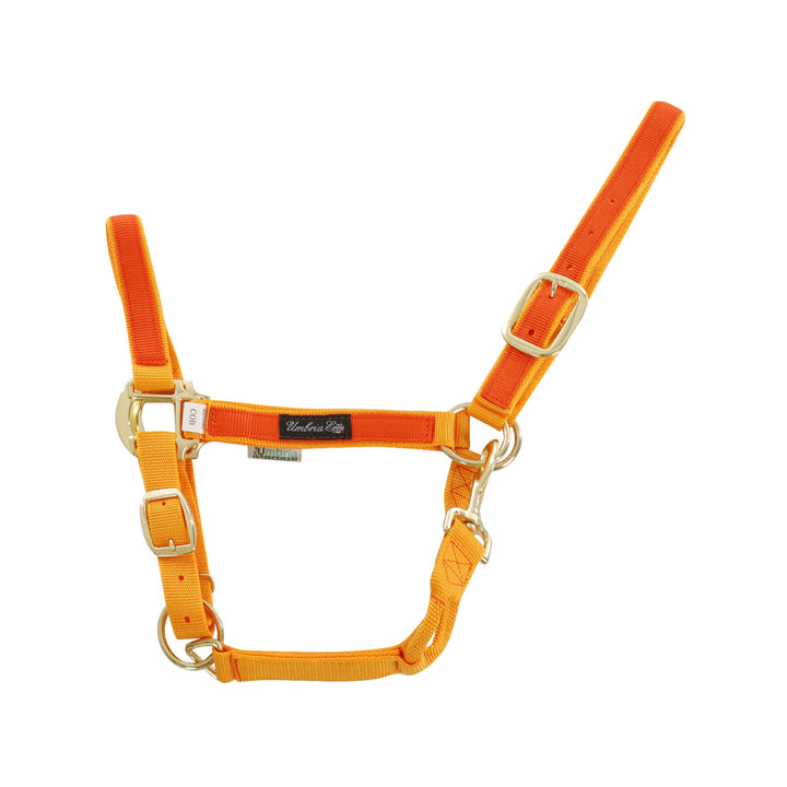 NYLON HALTER WITH COLORED PARTS GOLD/ORANGE