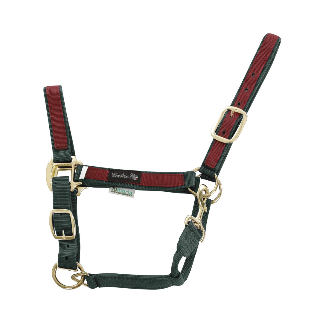NYLON HALTER WITH COLORED PARTS GREEN/BURGUNDY