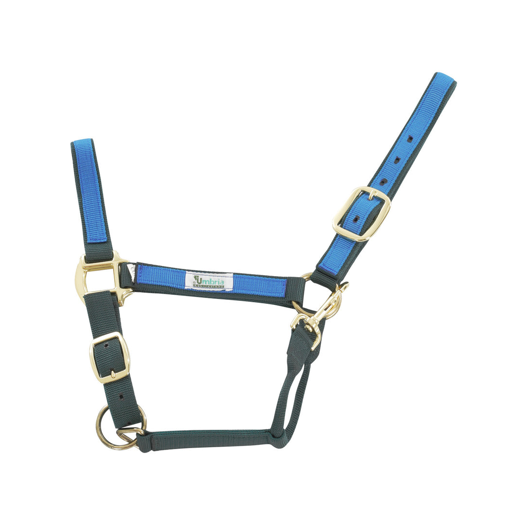 NYLON HALTER WITH COLORED PARTS GREEN/ROYAL
