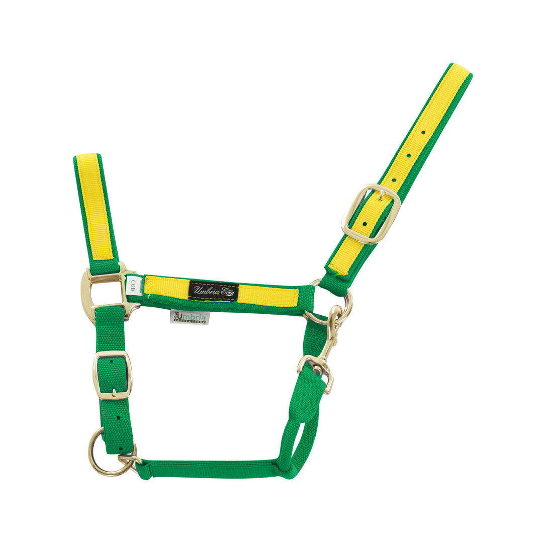 NYLON HALTER WITH COLORED PARTS GREEN/YELLOW