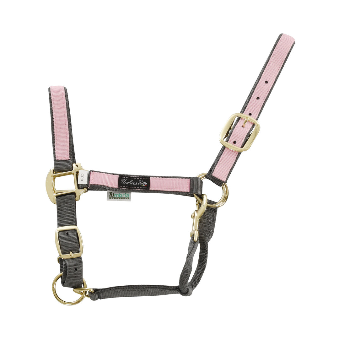 NYLON HALTER WITH COLORED PARTS GREY/PINK