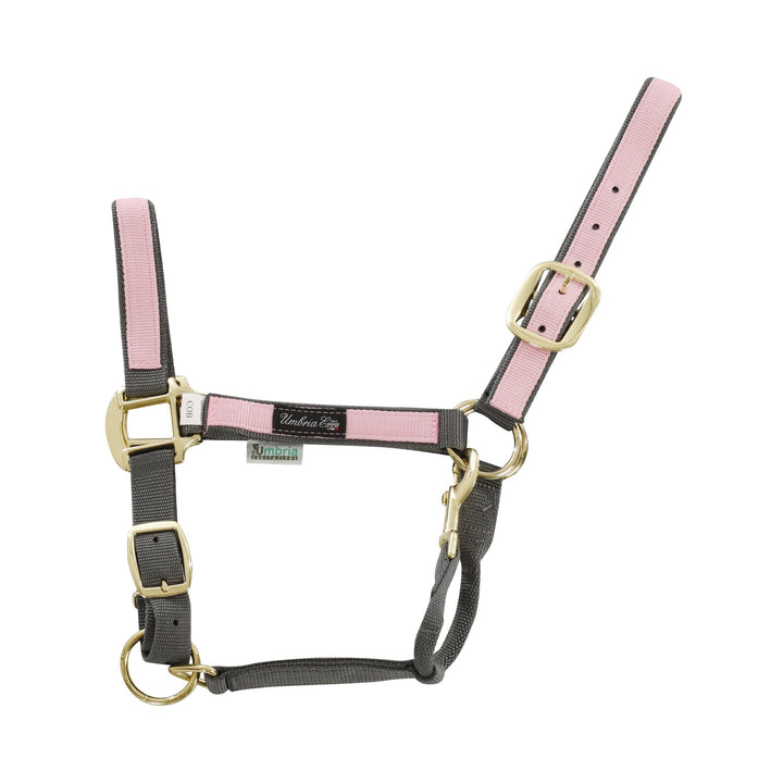 NYLON HALTER WITH COLORED PARTS GREY/PINK