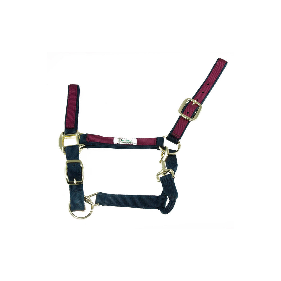 NYLON HALTER WITH COLORED PARTS NAVY/BURGUNDY