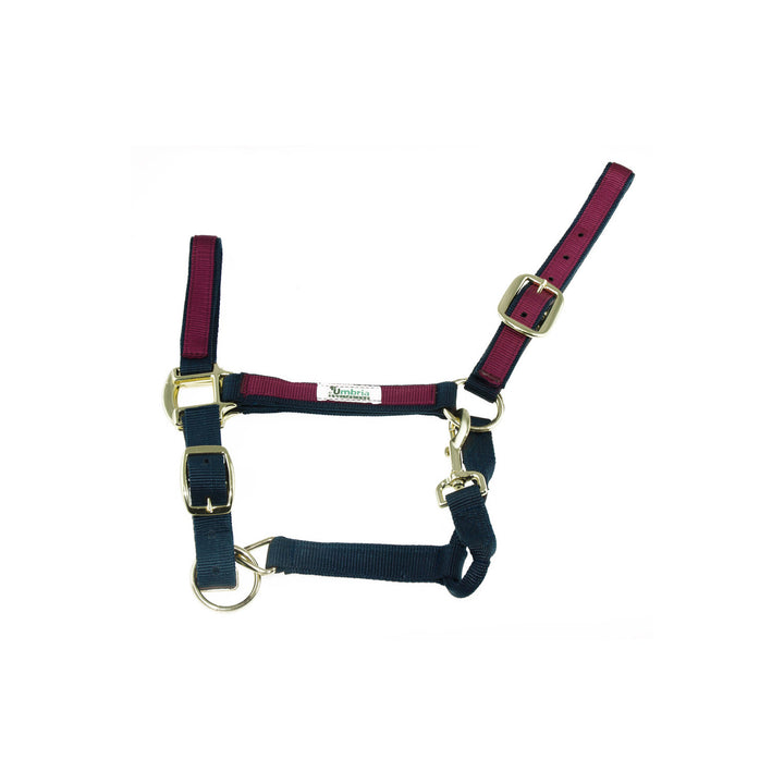 NYLON HALTER WITH COLORED PARTS NAVY/BURGUNDY