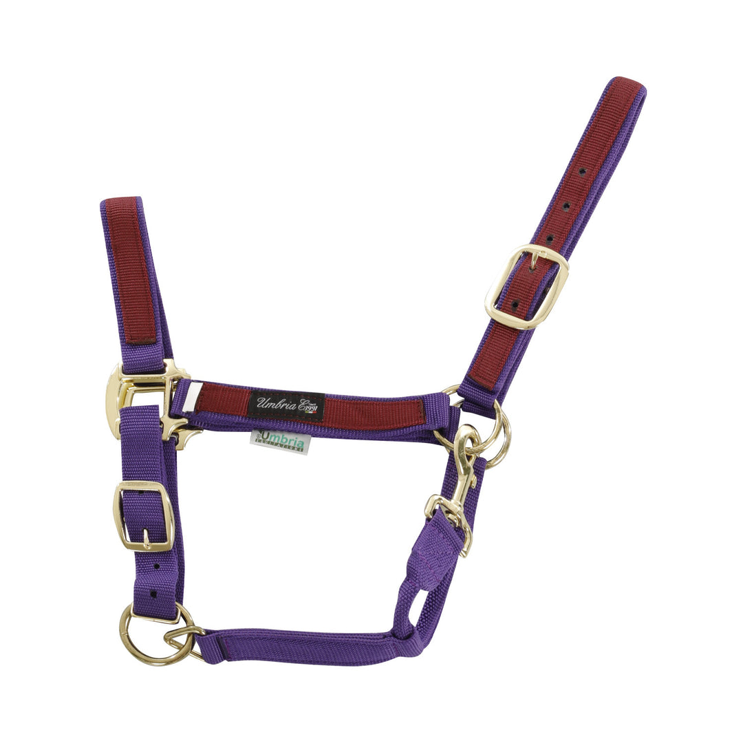 NYLON HALTER WITH COLORED PARTS PURPLE/BURGUNDY