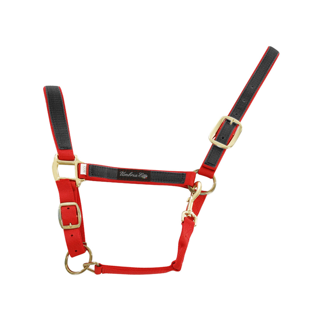 NYLON HALTER WITH COLORED PARTS RED/BLACK