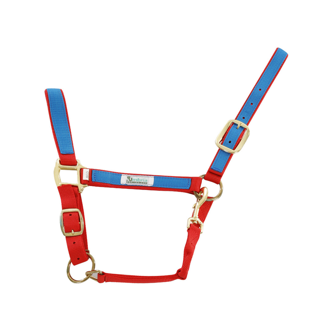 NYLON HALTER WITH COLORED PARTS RED/ROYAL