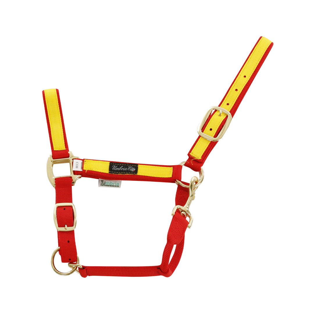 NYLON HALTER WITH COLORED PARTS RED/YELLOW