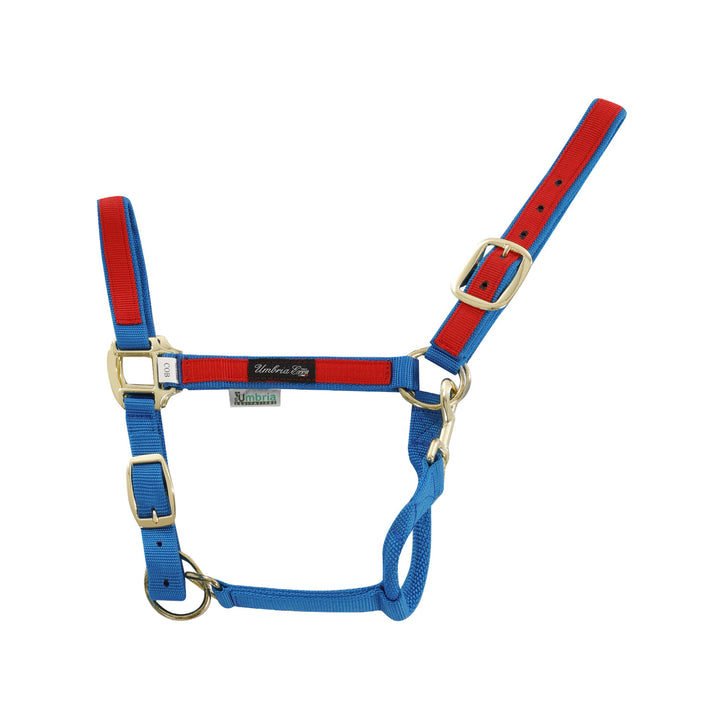 NYLON HALTER WITH COLORED PARTS ROYAL/RED