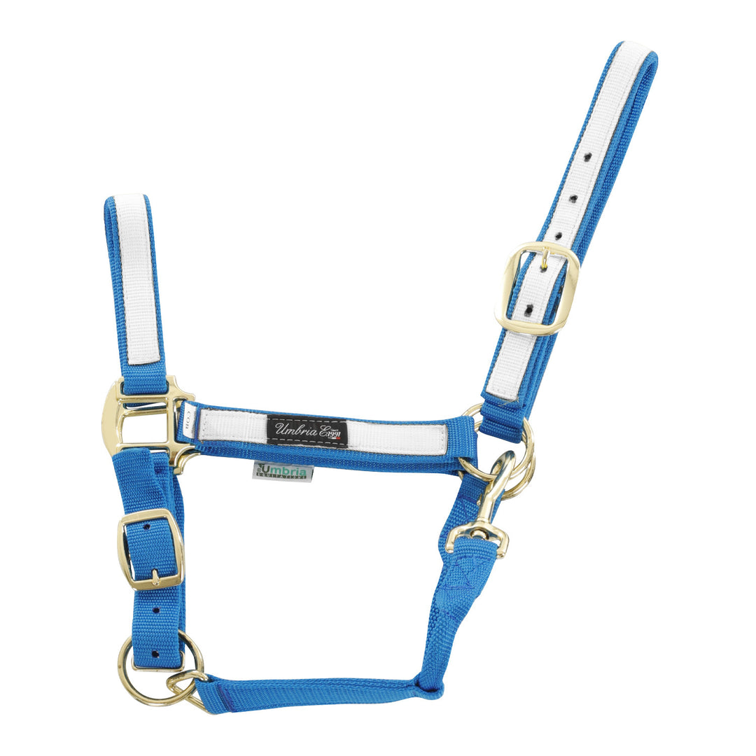 NYLON HALTER WITH COLORED PARTS ROYAL/WHITE