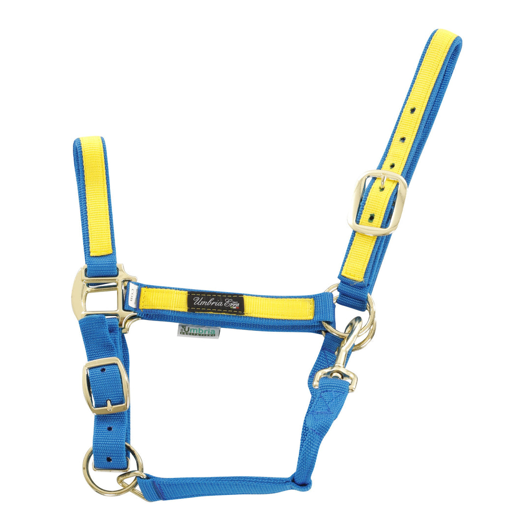 NYLON HALTER WITH COLORED PARTS ROYAL/YELLOW