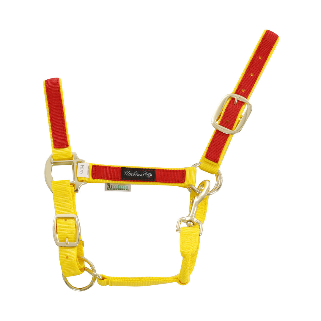 NYLON HALTER WITH COLORED PARTS YELLOW/RED
