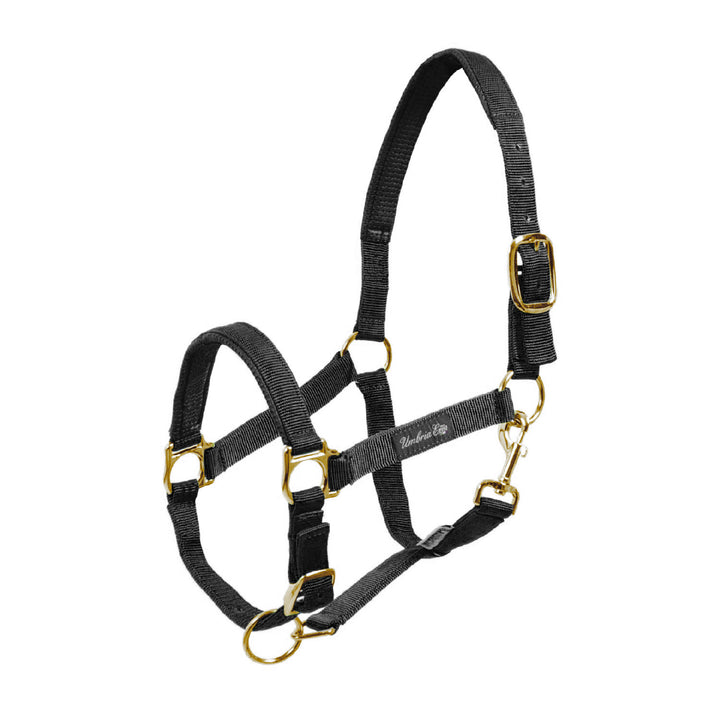 NYLON HALTER WITH NEOPRENE REINFORCEMENT BLACK