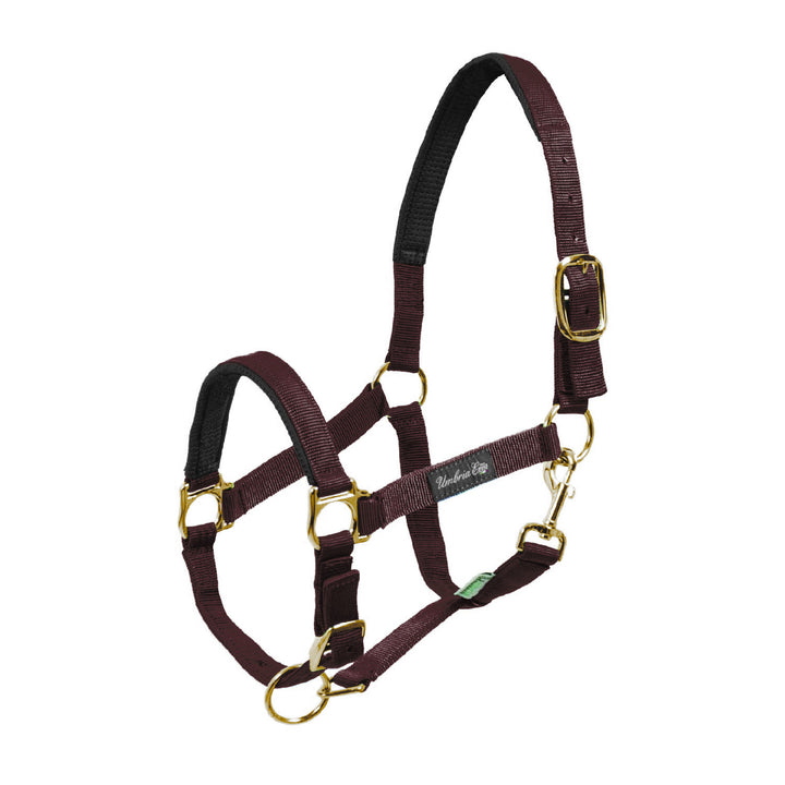 NYLON HALTER WITH NEOPRENE REINFORCEMENT BROWN