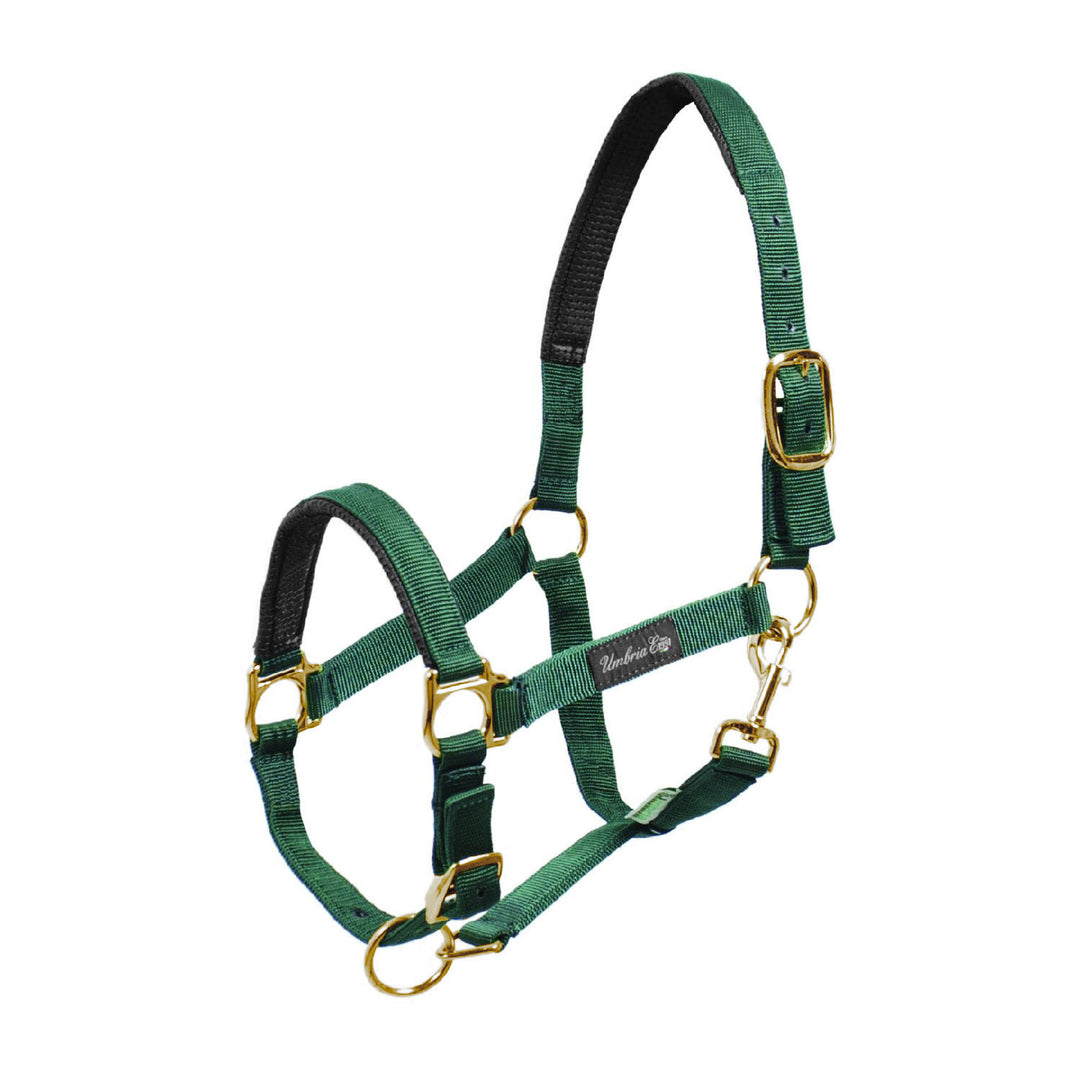 NYLON HALTER WITH NEOPRENE REINFORCEMENT GREEN