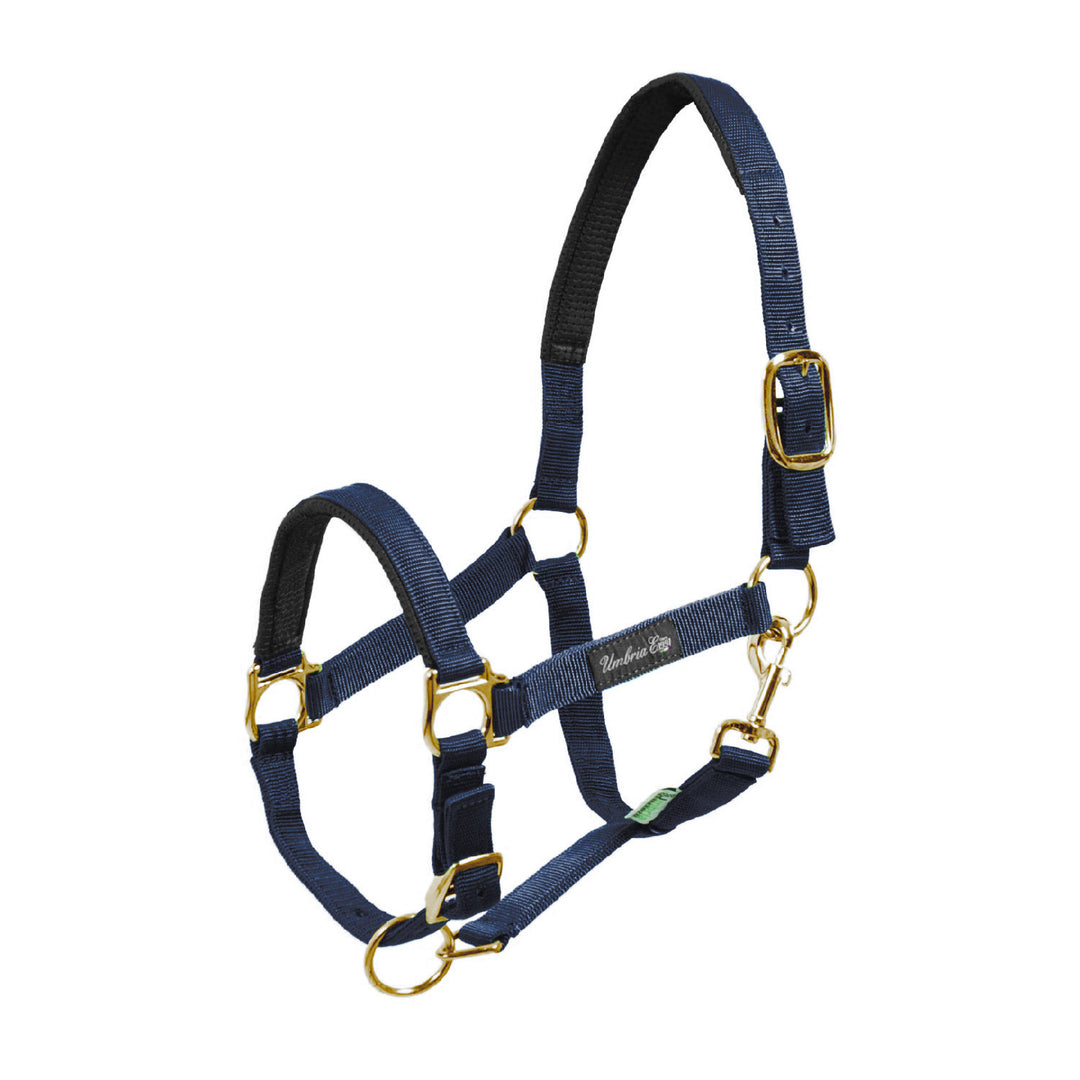 NYLON HALTER WITH NEOPRENE REINFORCEMENT NAVY