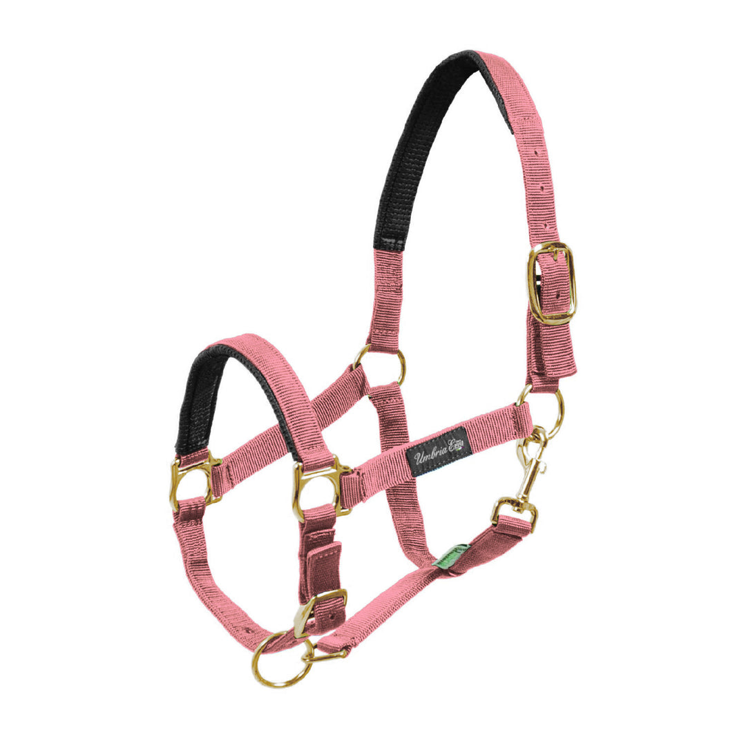 NYLON HALTER WITH NEOPRENE REINFORCEMENT PINK
