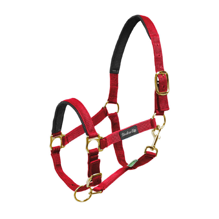 NYLON HALTER WITH NEOPRENE REINFORCEMENT RED