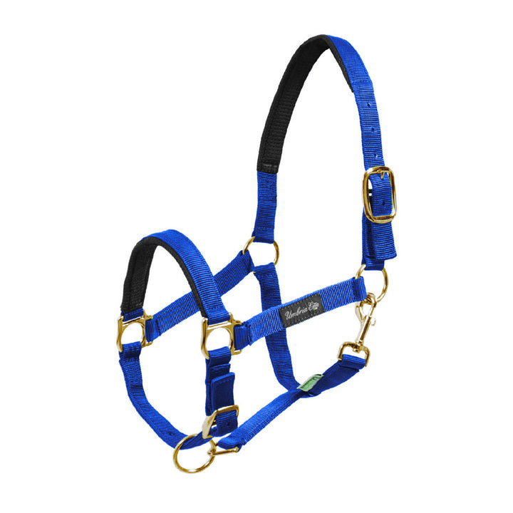 NYLON HALTER WITH NEOPRENE REINFORCEMENT ROYAL BLUE