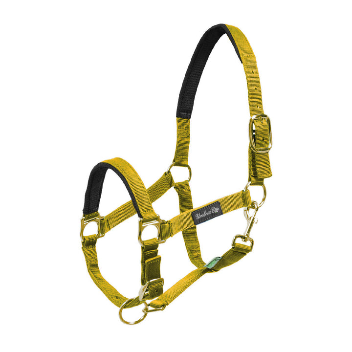 NYLON HALTER WITH NEOPRENE REINFORCEMENT