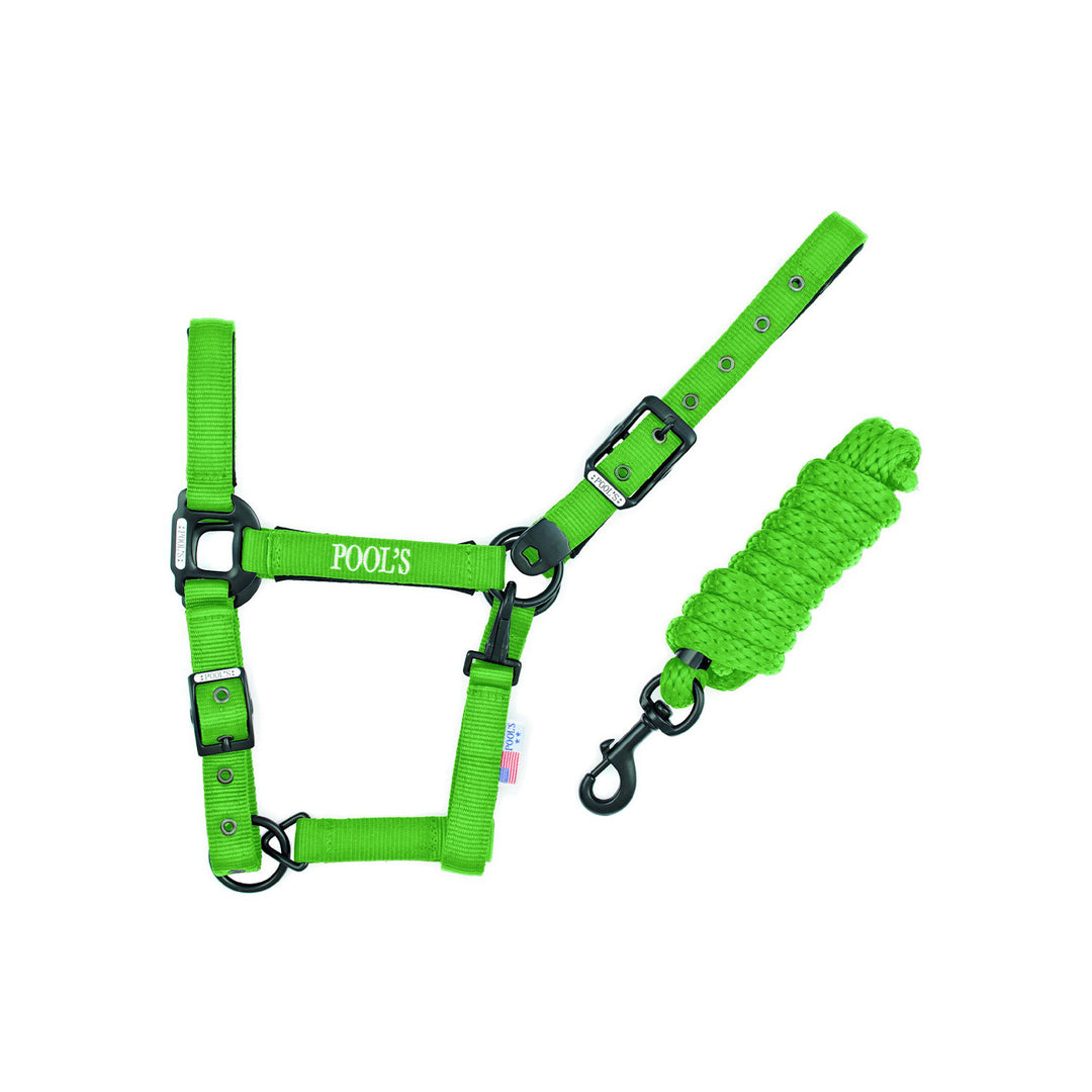 NYLON HALTERS LIME