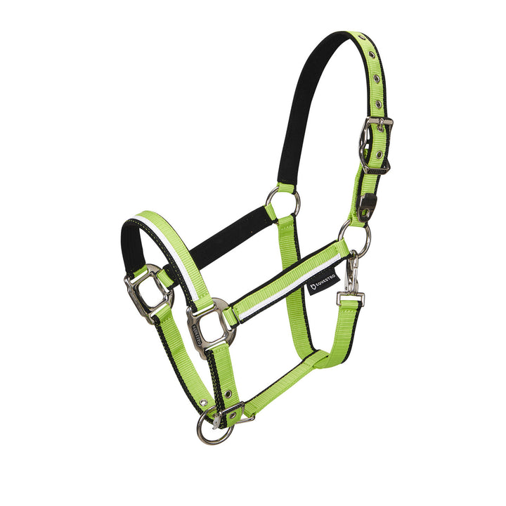 Halter with fleece padding and snap hook LIME/BLACK