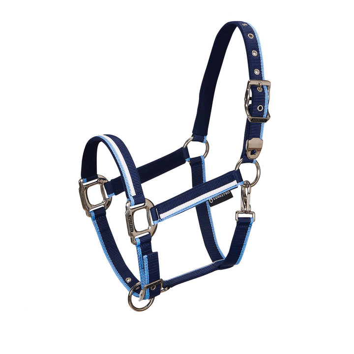 Halter with fleece padding and snap hook NAVY/LIGHT BLUE