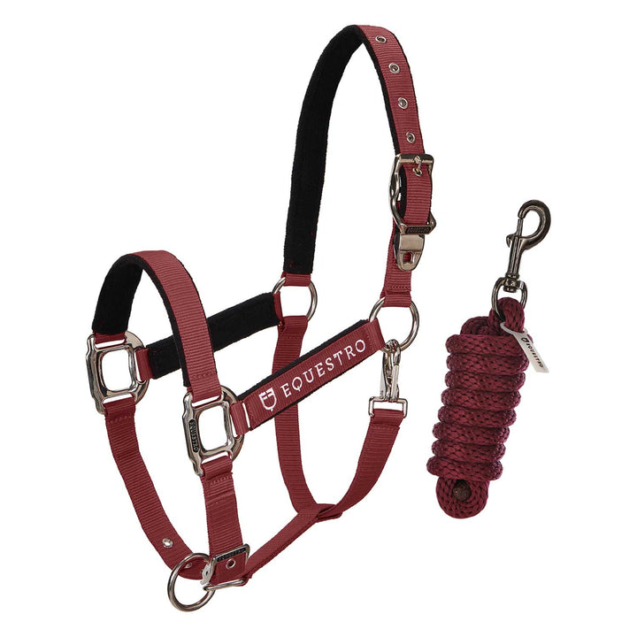 Padded double adjustment headcollar BURGUNDY