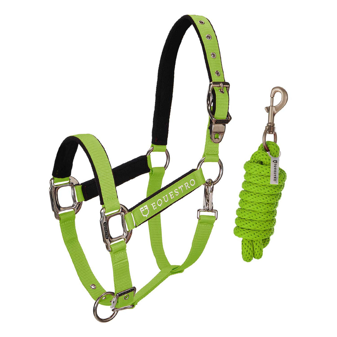 Padded double adjustment headcollar LIME