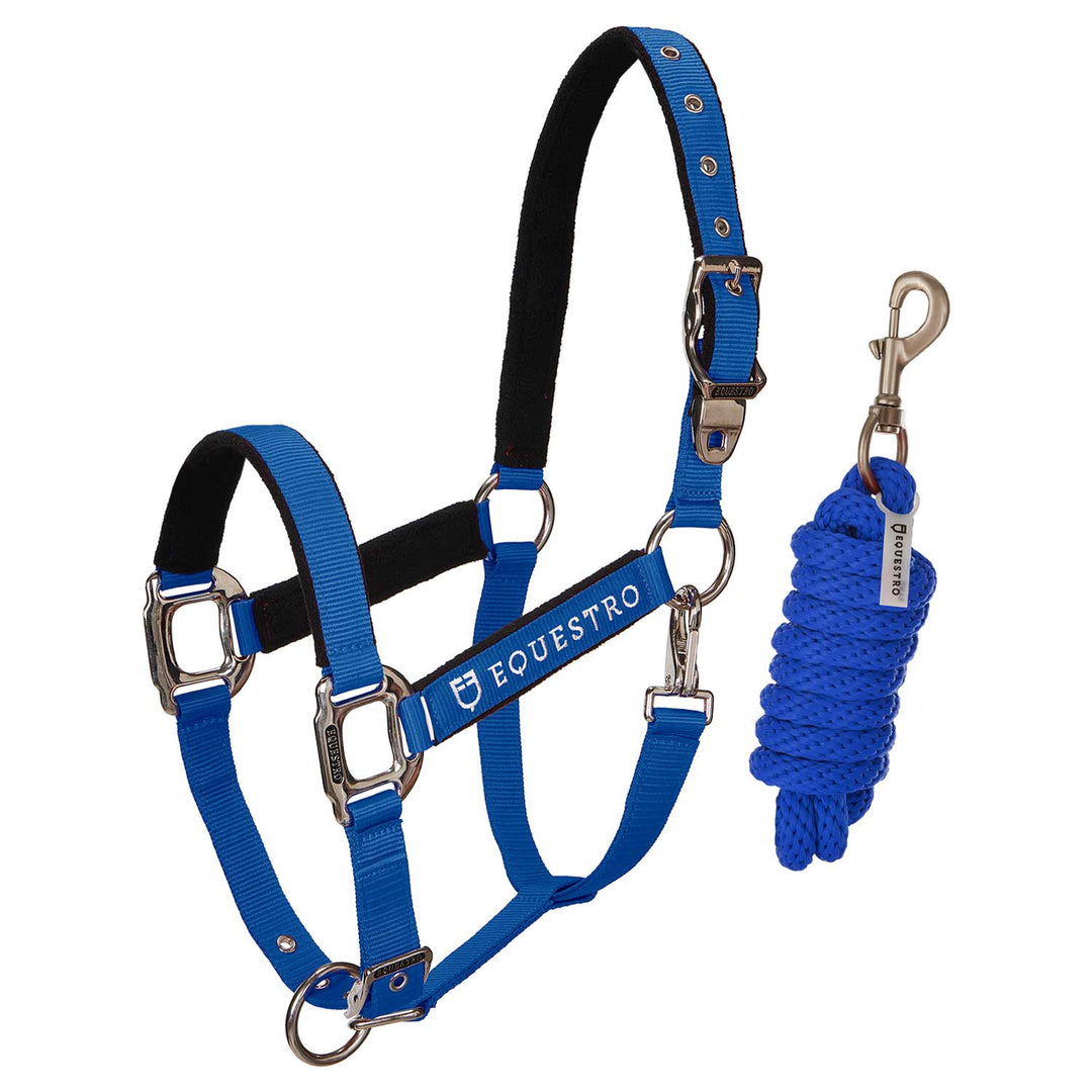 Padded double adjustment headcollar ROYAL BLUE