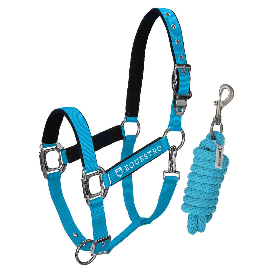 Padded double adjustment headcollar TURQUOISE