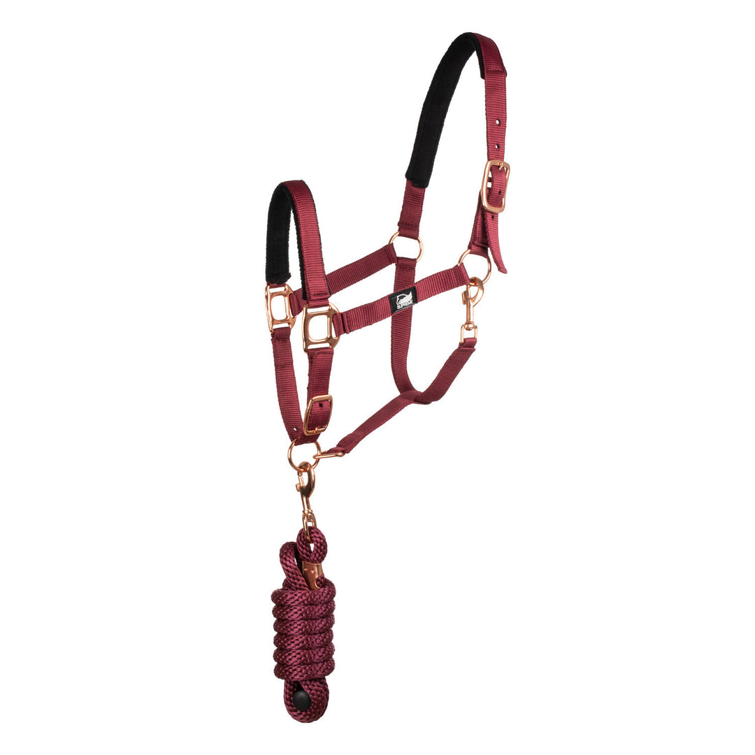 ROSE GOLD LINE NYLON HALTER + LEAD BURGUNDY