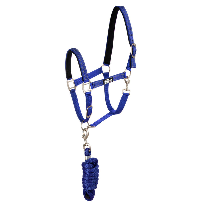 SYNTHETIC HALTER WITH LEAD  SOLID COLOR WITH  ROYAL BLUE